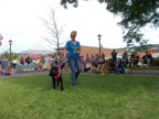 dog show