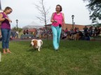 dog show