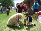 dog show